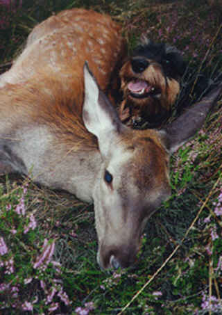 foto01.jpg (52112 Byte)