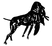 zeichen2.gif (8007 Byte)