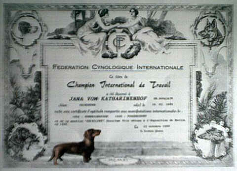 urkunde3_klein.jpg (83325 Byte)