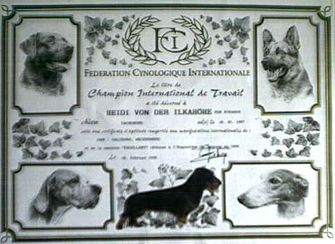 urkunde4_klein.jpg (89866 Byte)